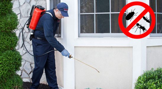 Digor Kene İlaçlama böcek ilaçlama ve haşere kontrolü — ilaclama-tr.com
